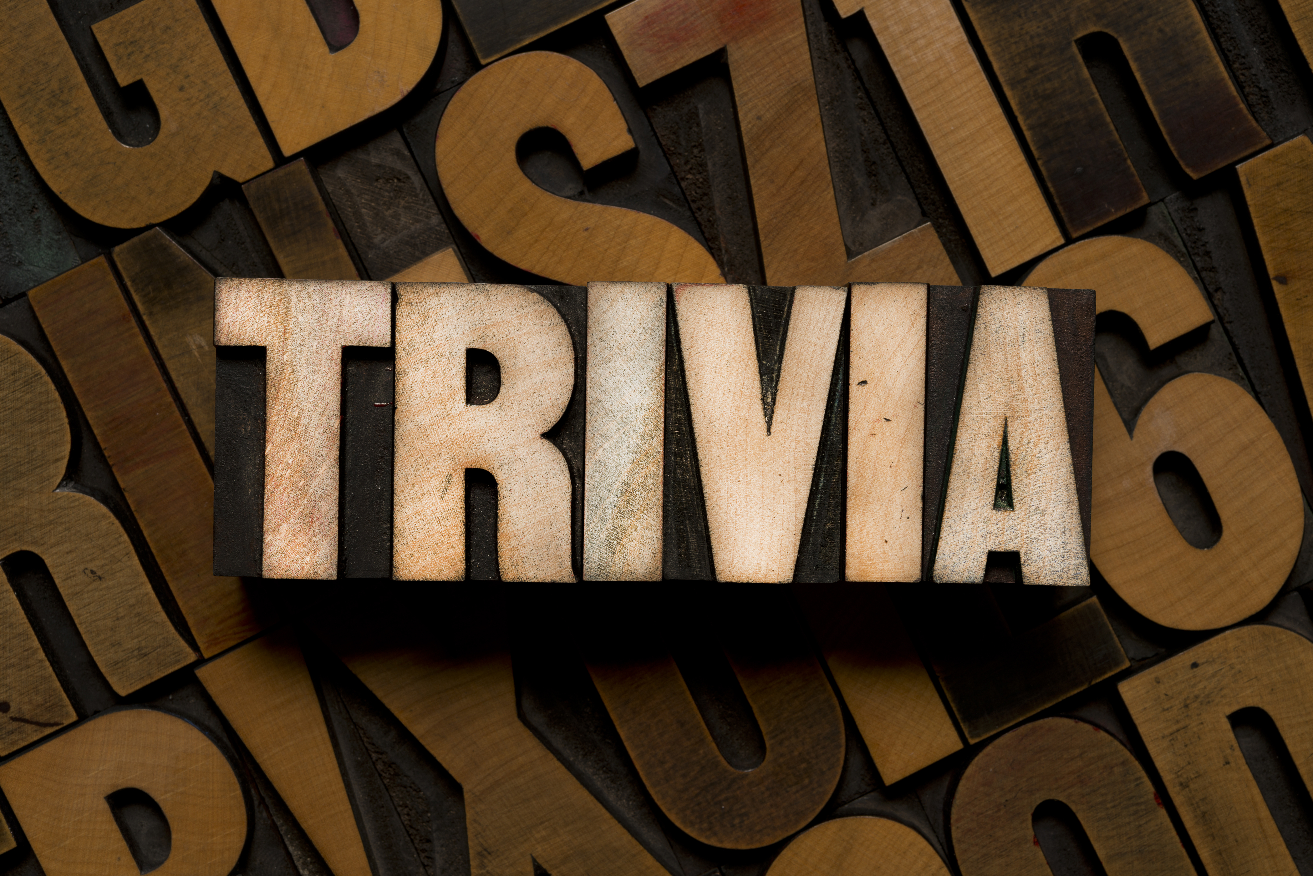 Word Trivia on wooden blocks